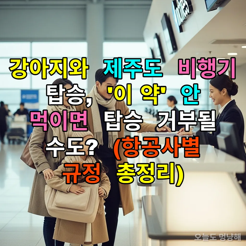 인천공항 체크인 카운터에서 이동장에 들어간 푸들과 함께 수속을 밟고 있는 한국인 가족의 모습