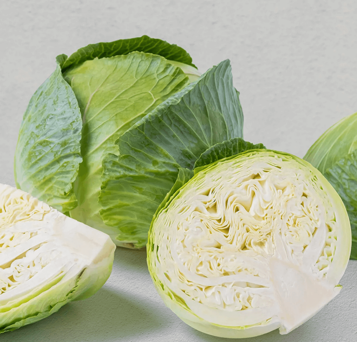 전남 무안 양배추