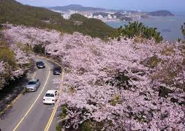 2025 전국 마라톤일정 총정리! 상반기부터 해외까지 한눈에