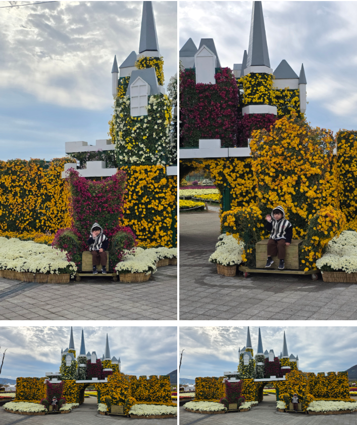 양산 아이와 가볼 만한 곳 : 황산공원 국화축제(11월) & 불빛정원(1월) 방문 후기