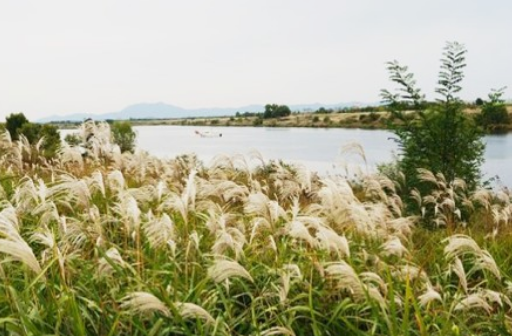 10월 가을축제 BEST 5