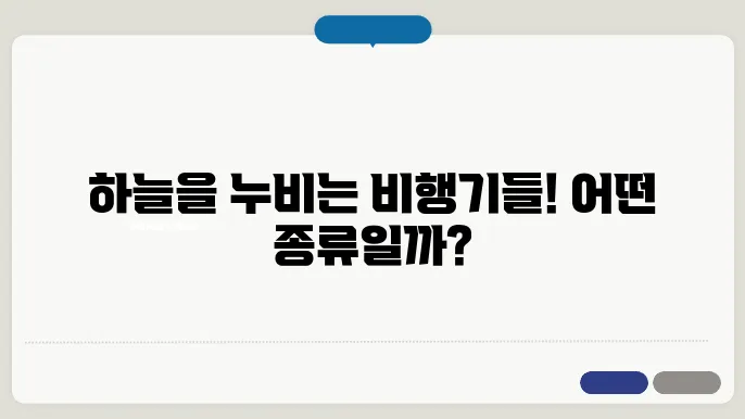뻯행기의 종류