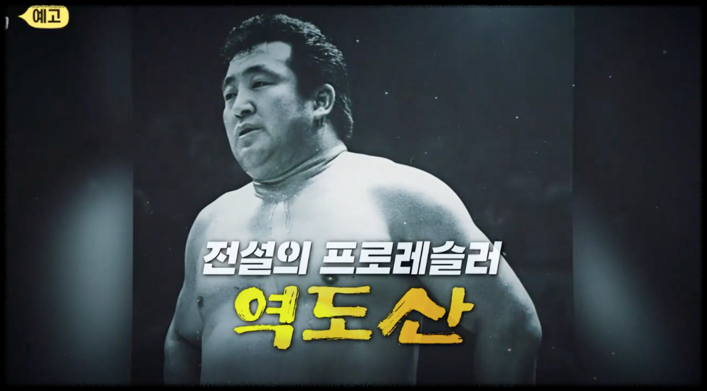 최배달 역도산 기무라 사건