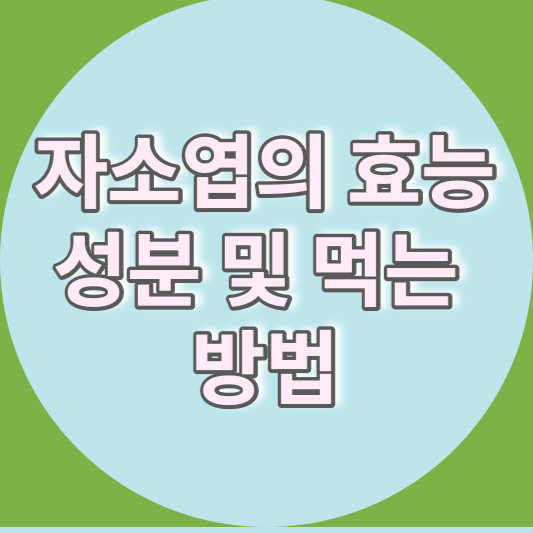 자소엽의 효능, 성분 및 먹는 방법