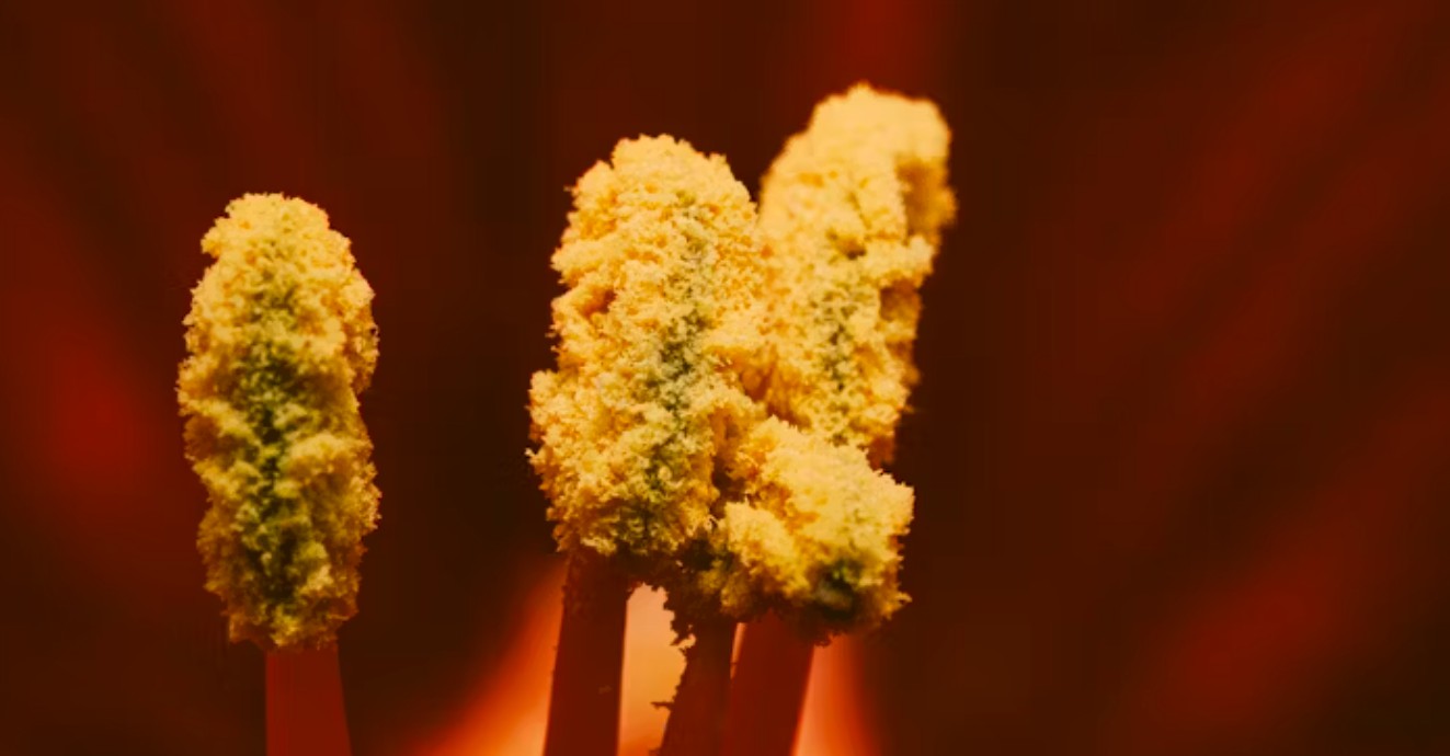 꽃가루 지수 확인 방법