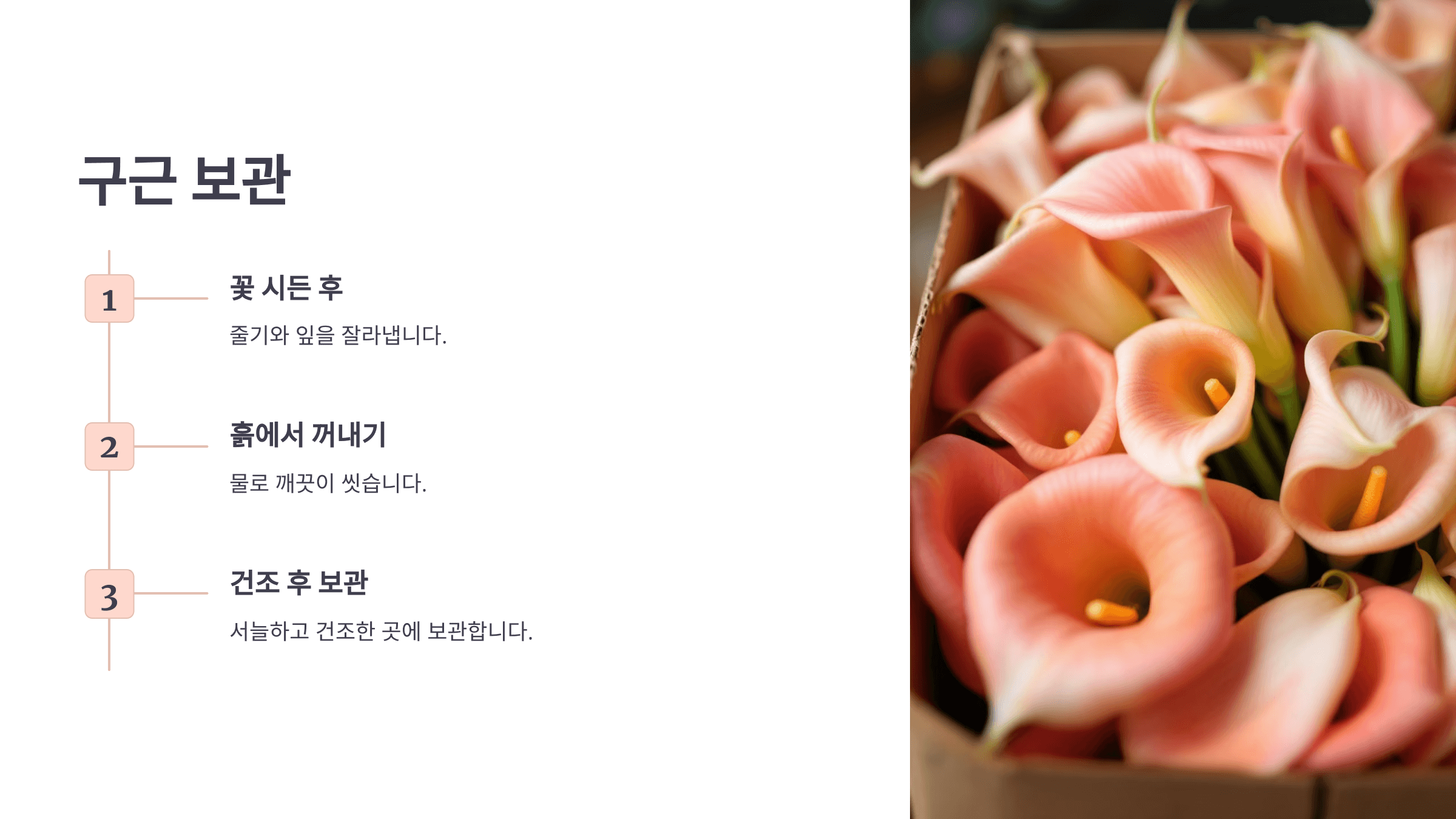 카라꽃 사진입니다.