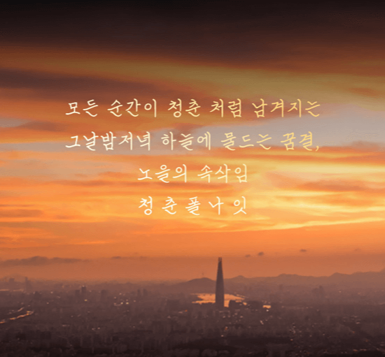 2024 청춘폴나잇