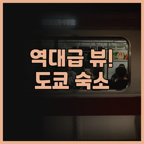 원@도쿄 인솜니아 스카이트리 뷰가 환..