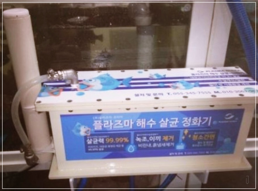 구로구-수영장-수처리-수질관리-7