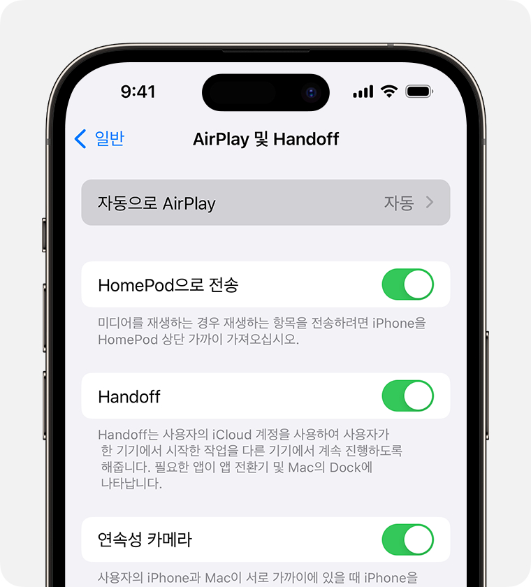 iOS에서 AirPlay 및 Handoff 설정을 확인하는 화면