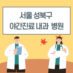 성북구 야간진료 내과 병원 리스트 (18시 이후 늦게까지하는 병원)