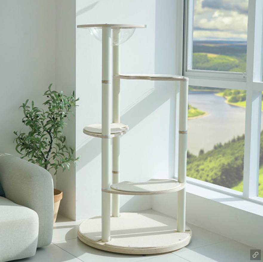 반려인능력시험