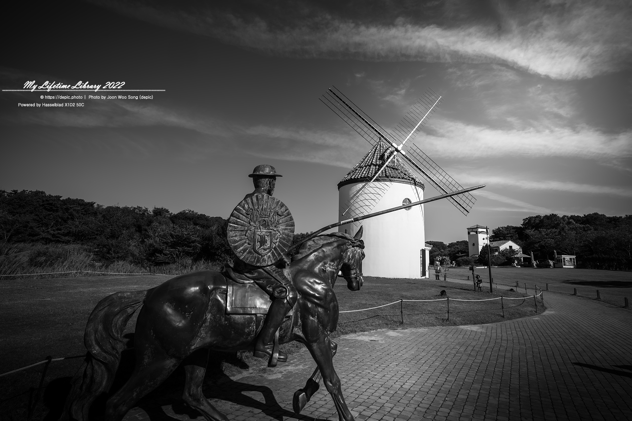 #제주 #에코랜드 #연못 #호수 #기차 #2022제주여행 #돈키호테 #풍차