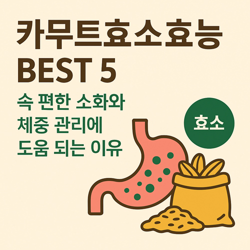 카무트효소효능 BEST 5 | 속 편한 소화와 체중 관리에 도움 되는 이유
