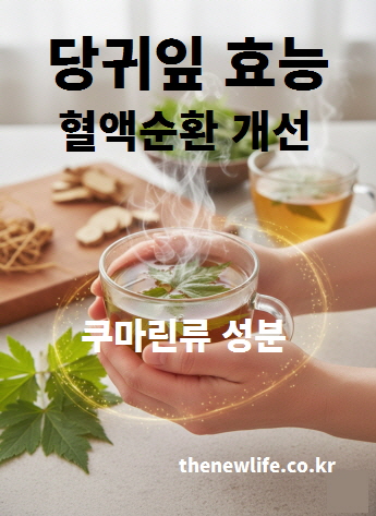 당귀잎 효능 중 혈액순환 개선을 설명하는 이미지 &ndash; 쿠마린류 성분 강조