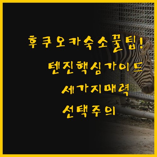 후쿠오카 텐진 여행 숙소 선택 가이드..