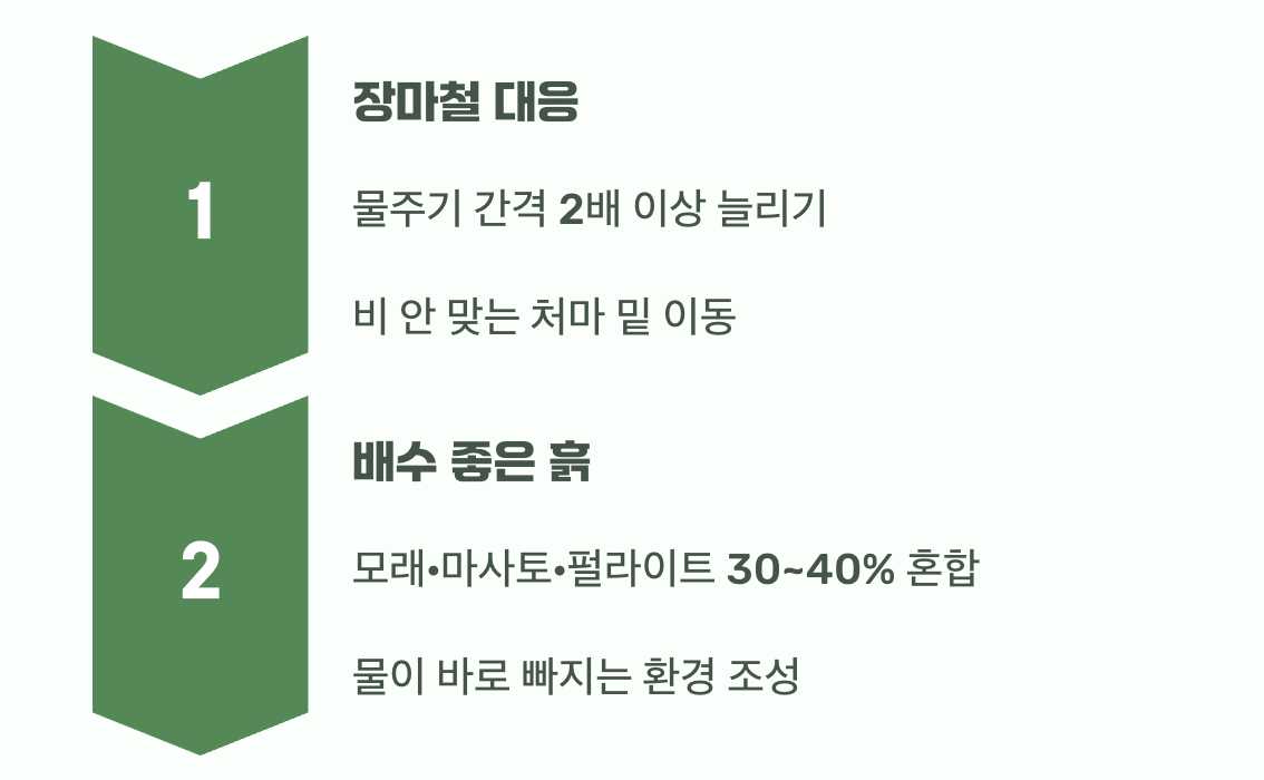 힘든 여름을 이겨내는 지혜