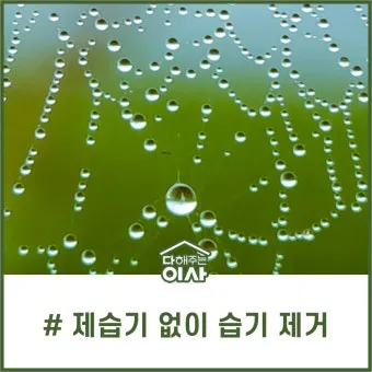 제습기 없이 습기 제거 끝 숯 염화칼슘 등 천연 제습제 활용법 완벽 가이드_6