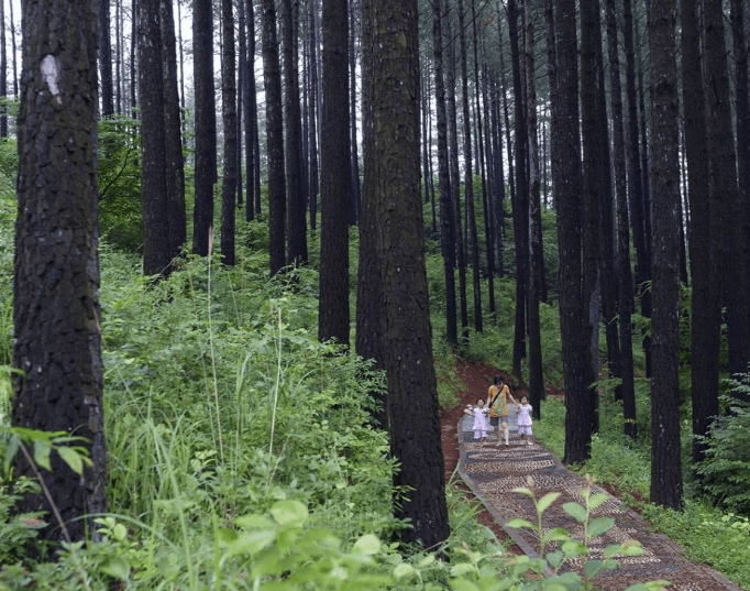 광양 백운산 자연휴양림