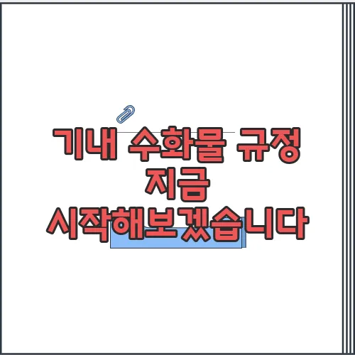 기내 수화물 규정  지금 시작해보겠습니다