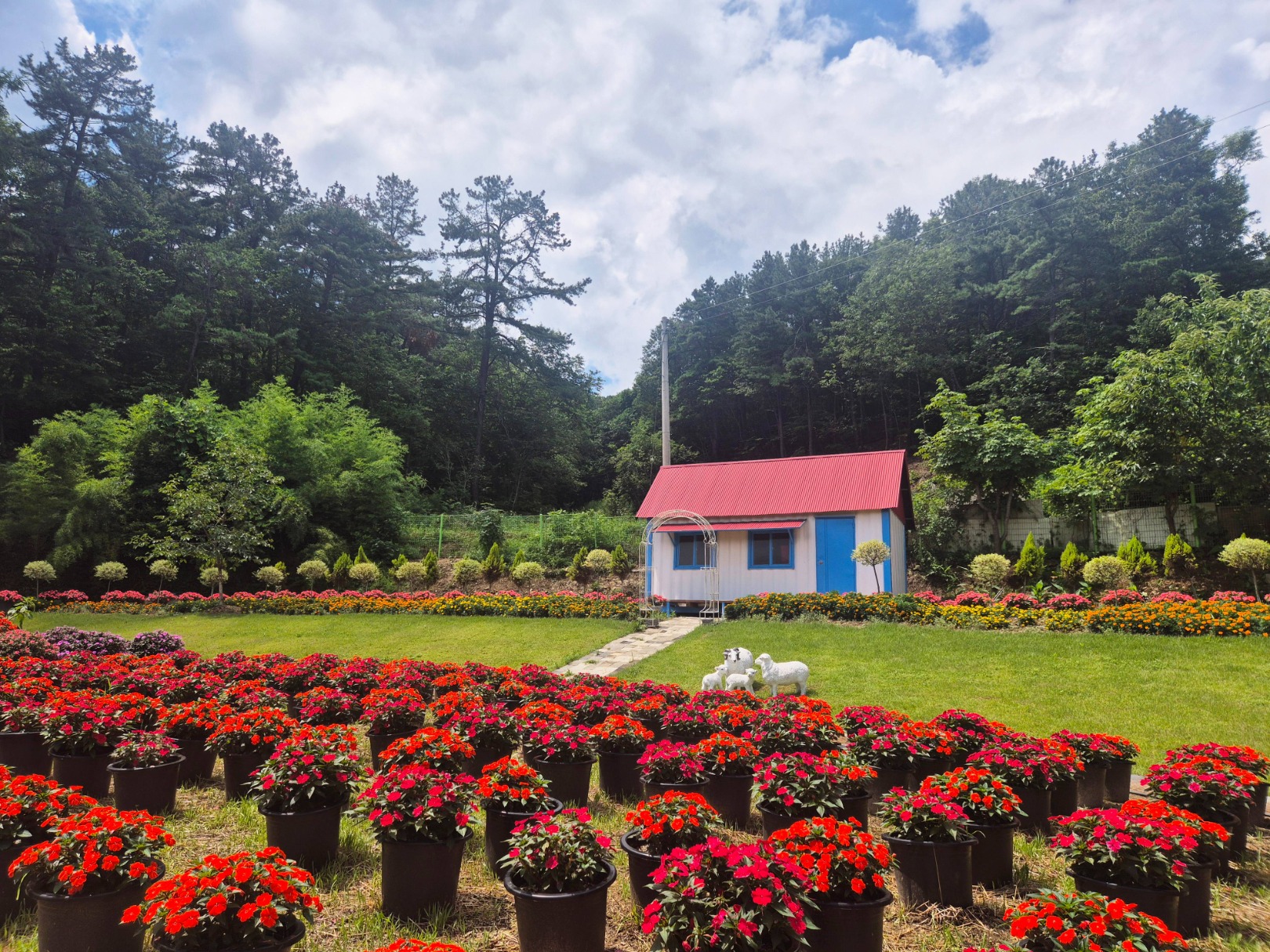 율봄식물원 봉선화