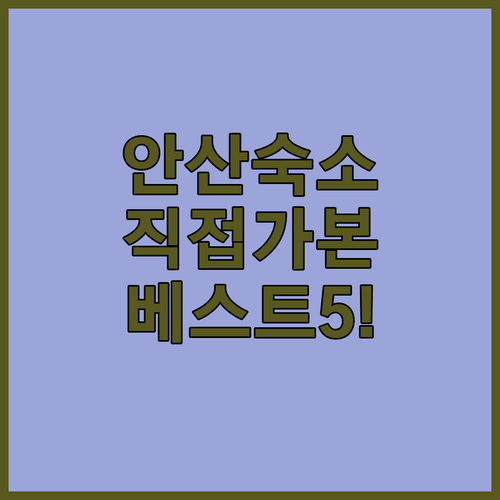 직접 가본 안산 숙소 베스트 5곳 사..