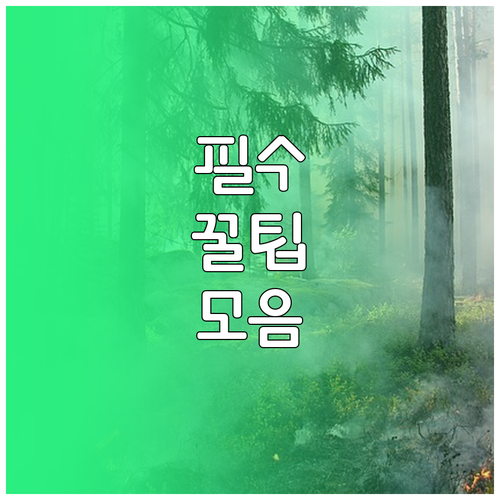 흔들림 없는 갤럭시 고품질 사진 프로..