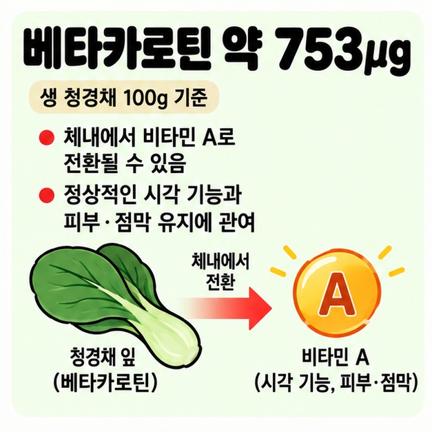 생 청경채 100g에 베타카로틴 약 753마이크로그램이 들어 있고 체내에서 비타민 A로 전환될 수 있음을 보여주는 카드