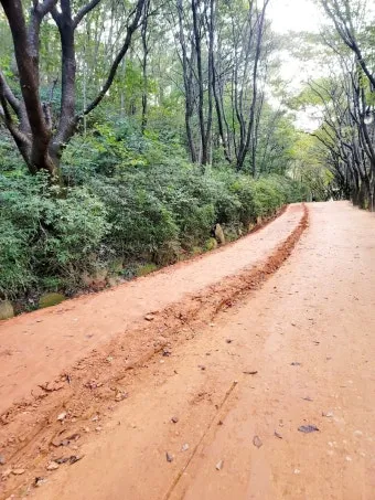 황토길 맨발 걷기 효능과 건강 효과 핵심 정보 정리해보기_3