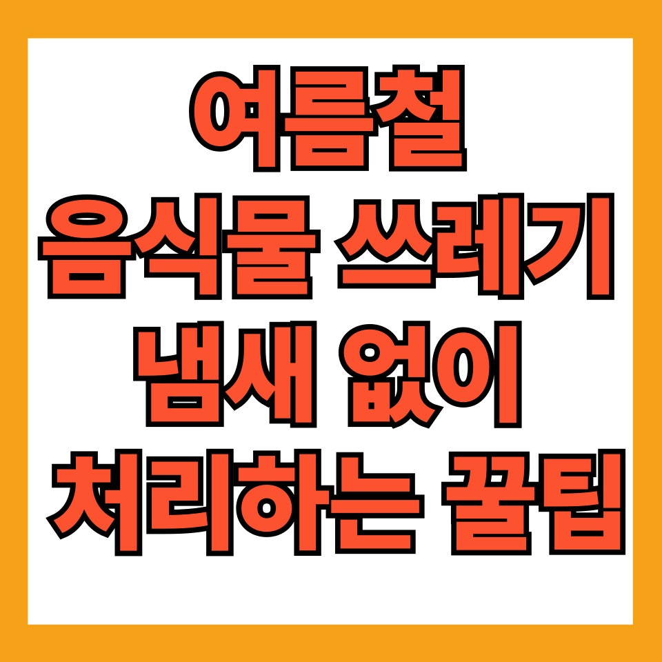 여름철 음식물 쓰레기 냄새 없이 처리하는 꿀팁