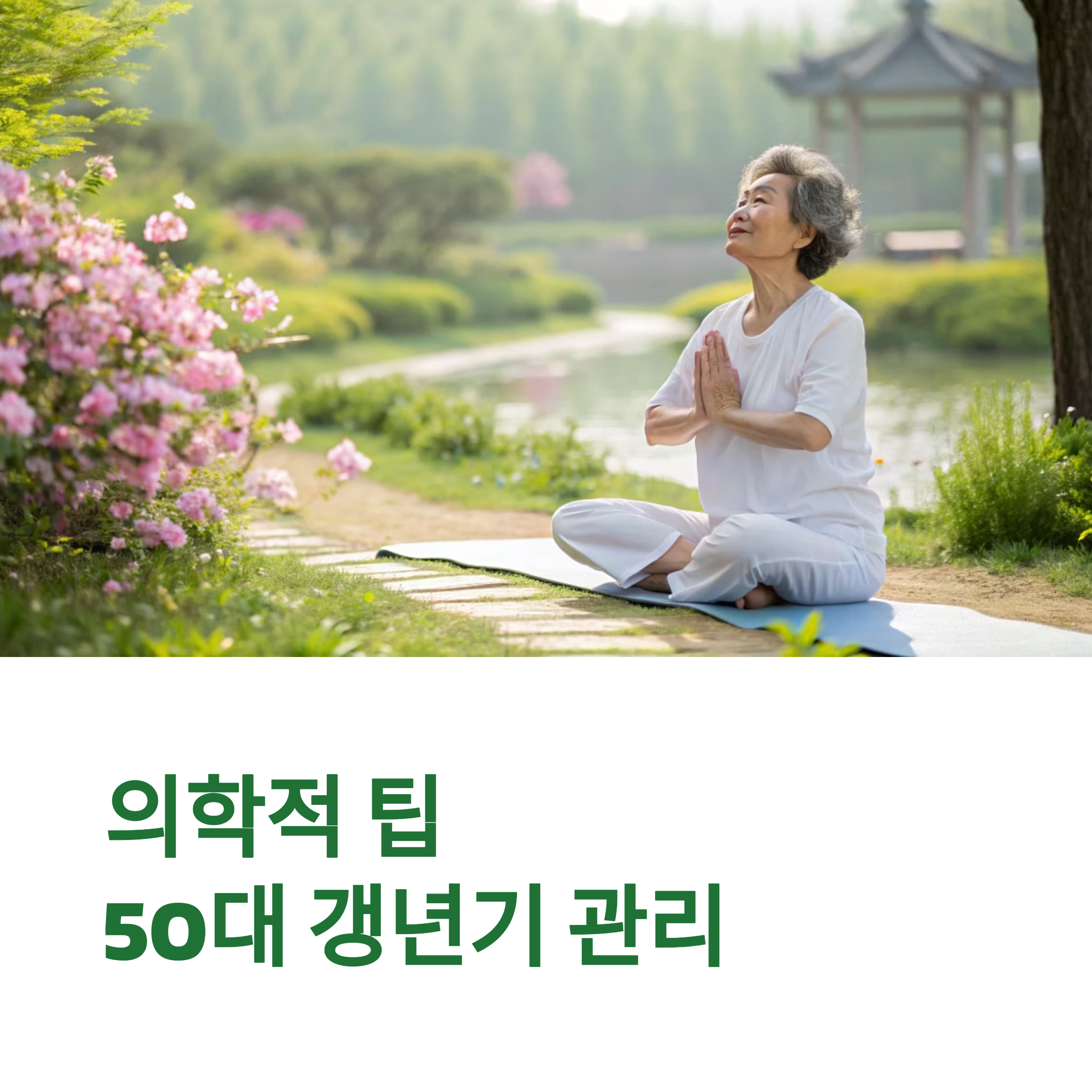 의학적 팁, 갱년기 관리