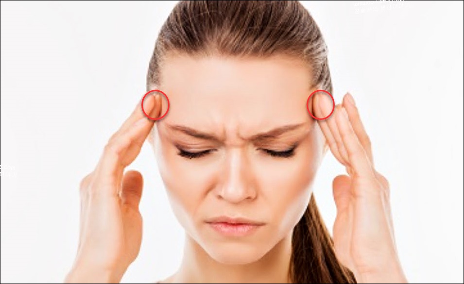 관자놀이 부위