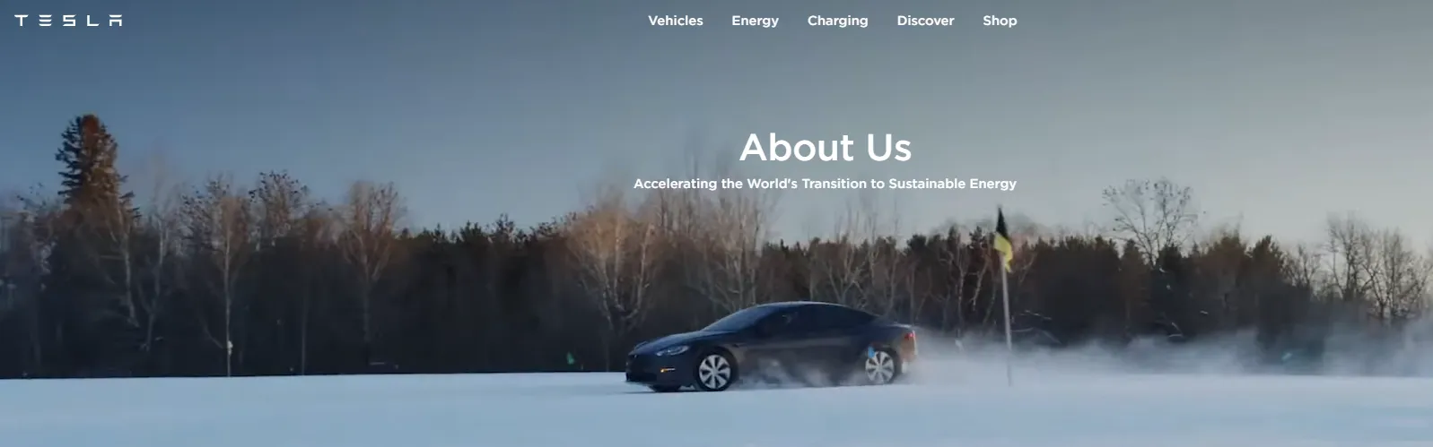 미국 AI 인공지능 관련주 하드웨어 기업 - tesla