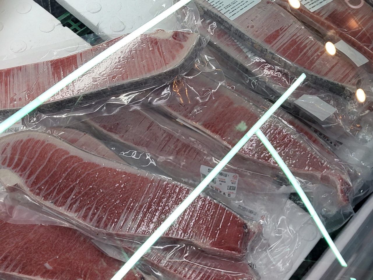 참다랑어 뱃살 참치