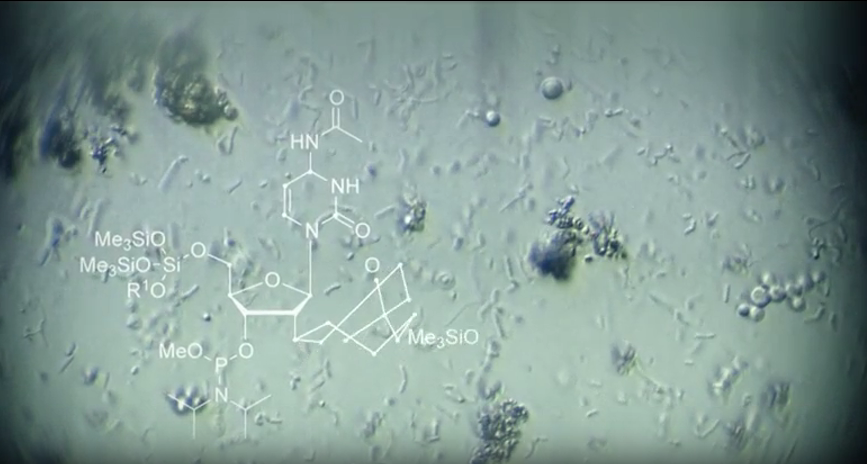 명의 피부암 점 구별법