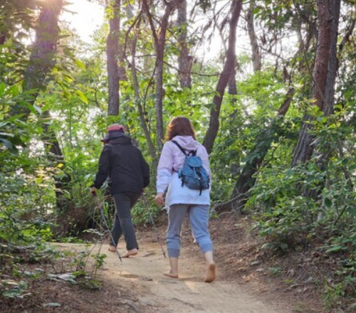 알트태그-걷기 명소 울산 황방산