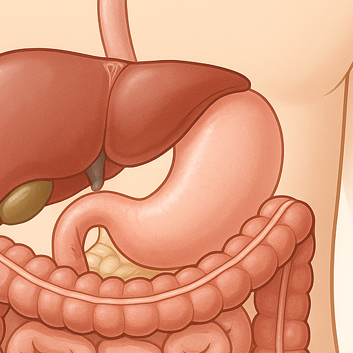 맹장염 초기증상, 절대 놓치면 안 되는 경고 신호