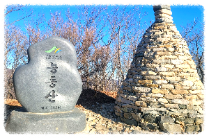능동산