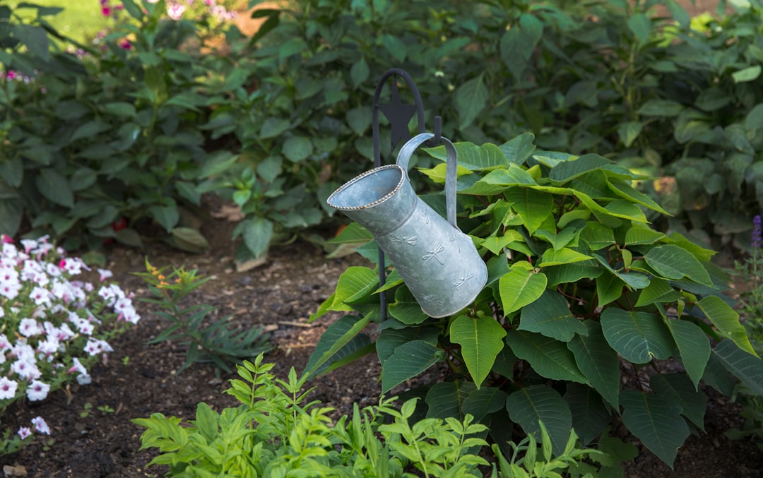Gardening