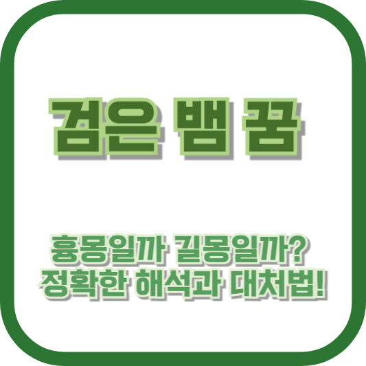 검은 뱀 꿈, 흉몽일까 길몽일까? 정확한 해석과 대처법!