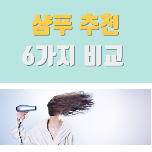 샴푸추천