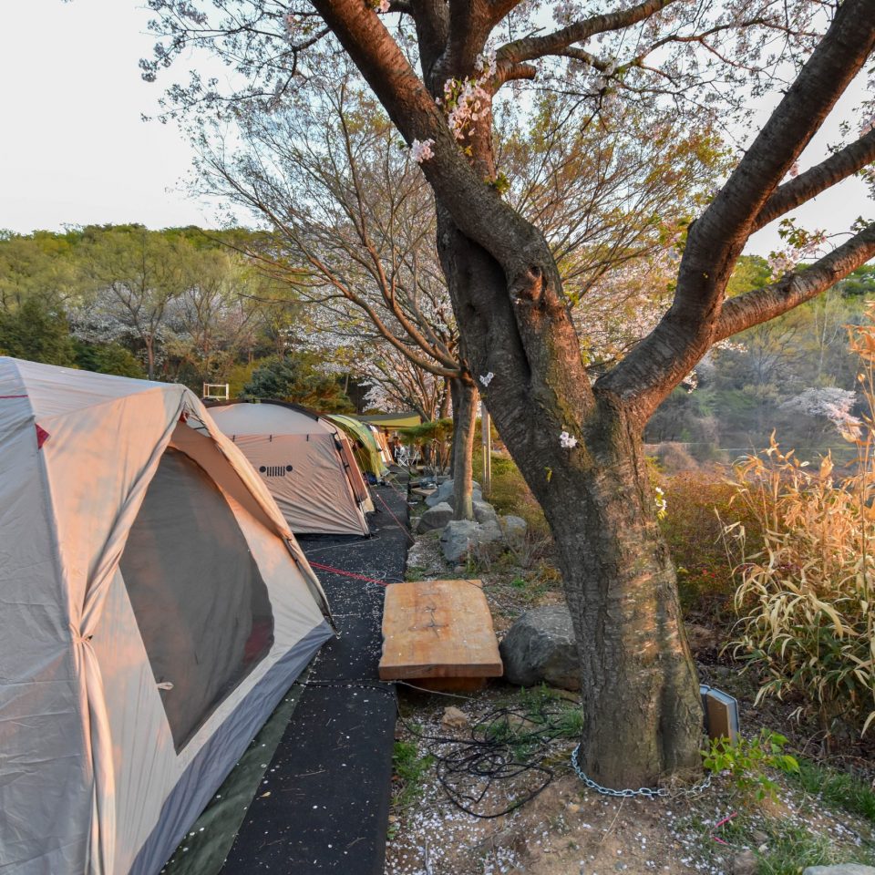 문수골힐링캠핑장 (애견동반가능)