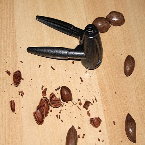 피칸