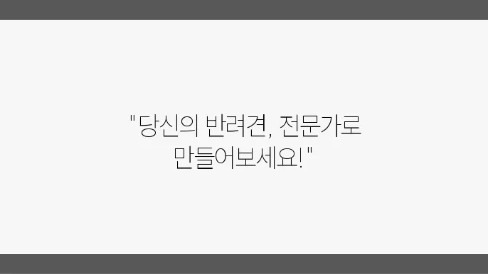 애견미용사 자격증 2급