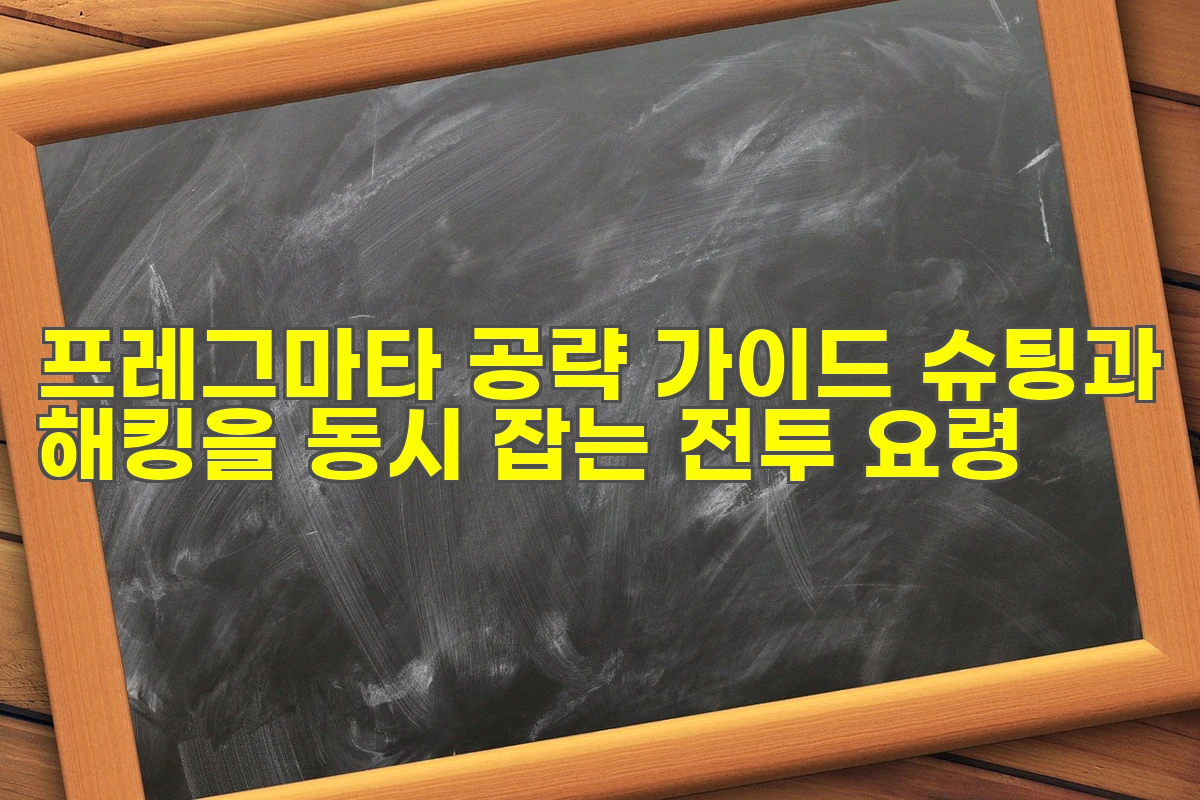 프래그마타 공략 가이드