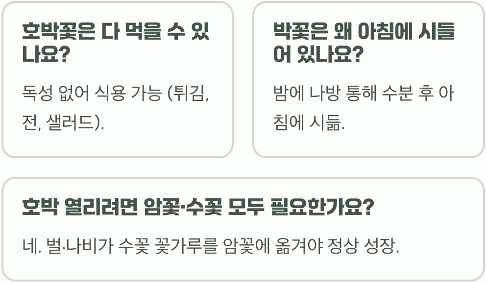 노란 호박꽃 vs 하얀 박꽃&#44; 헷갈리는 두 꽃 1초 만에 완벽 구별하는 법