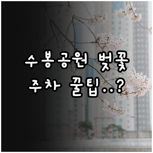 인천 수봉공원 벚꽃 만개 시기와 주차..