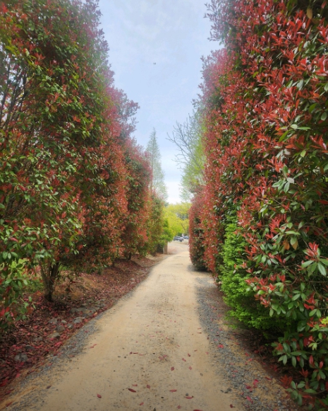 태안 가볼만한곳 베스트10