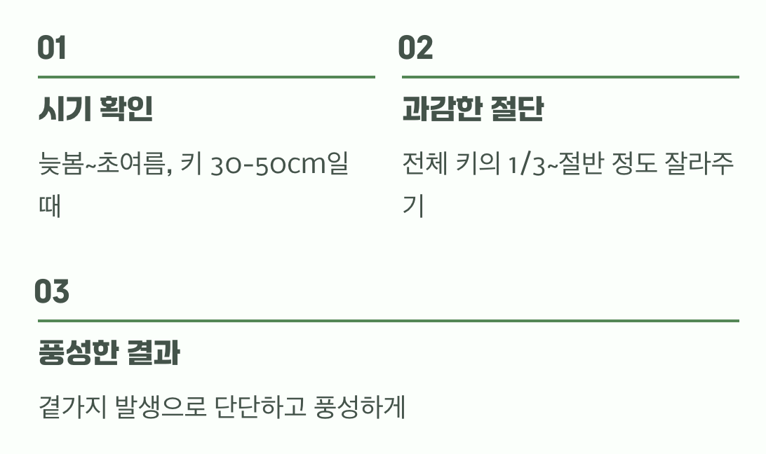 가장 중요한 비법&amp;#44; 키다리 제어하기