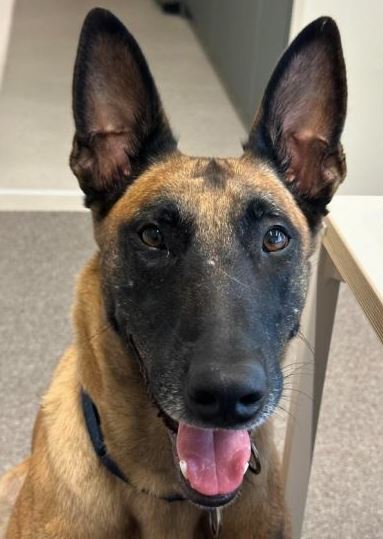 강형욱 SNS 재개 갑질 논란 해명